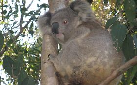 Edgewater Holiday Park